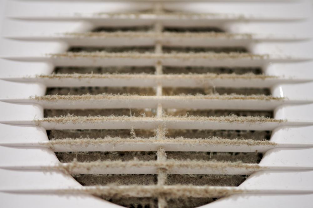 Read more about the article The Link Between Clogged Dryer Vents and Mold Growth